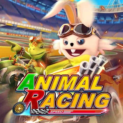 ANIMAL RACING